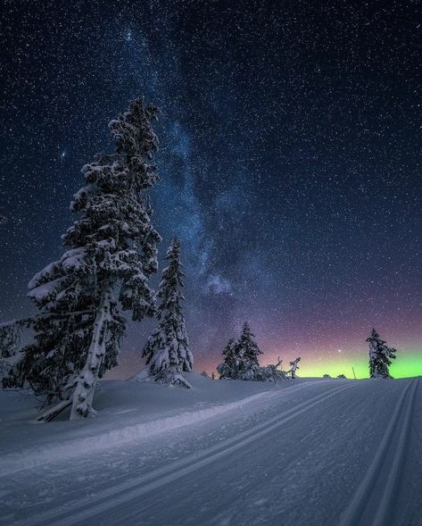 Earth on Twitter: "Biefjell, Norway ✨… " Starry Sky Wallpaper, Night Starry Sky, Sky Wallpaper, Starry Night Sky, Great Photographers, Winter Night, Starry Sky, Beautiful Destinations, Night Sky