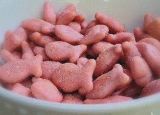 Goldfish Crackers Aesthetic, Cat Regressor, Cutecore Food, Pet Regressor, Pink Goldfish, Puppy Space, Pet Regression, Dog Activity, Baby Voice