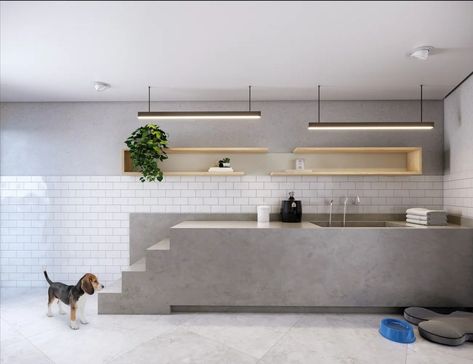 Dog Hotel Design, Dog Clinic, Pet Washing Station, Pet Cafe, Pet Grooming Salon, Industrial Lighting Design, Dog Spa, Dog Grooming Salons, Dog Hotel