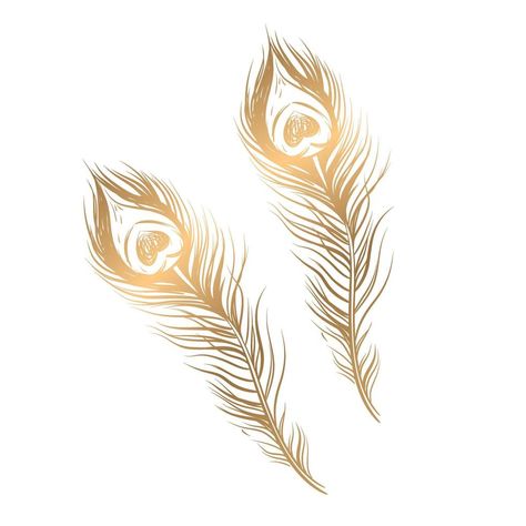 Golden Peacock Feather, Feathers Drawing, Peacock Feather Drawing, Golden Peacock, Peacock Drawing, Feather Illustration, Feather Drawing, Vector Drawing, Peacock Feathers