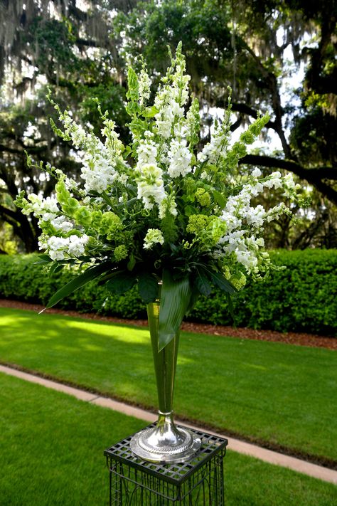 White Stock and Bells of Ireland Tall Aisle Arrangement - Could be used for ceremony or for tall centerpieces at tables Tall Succulents, Tall Flower Arrangements, Bells Of Ireland, Succulent Centerpiece, Church Wedding Flowers, Tall Wedding Centerpieces, Altar Flowers, Large Flower Arrangements, New Flowers