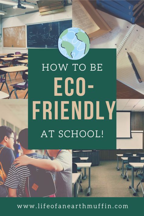 Eco Friendly Classroom Decor, Eco Friendly School Ideas, Eco Friendly Classroom, Eco Friendly Projects For School, Eco School Ideas, Recycling Projects For School, Eco Friendly School, Sustainable Classroom, Eco School