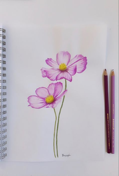 Flowers Drawing With Pencil Colors, Colored Pencil Drawings Ideas, Flower Bouquet Drawing Color Pencil, Flower With Pencil Colours, Drawing Ideas Colour Pencil Beginner, Color Pencil Flower Art, Colour Pencil Flower Art, Flower Sketches Colored Pencil, Color Pencil Art Ideas Simple