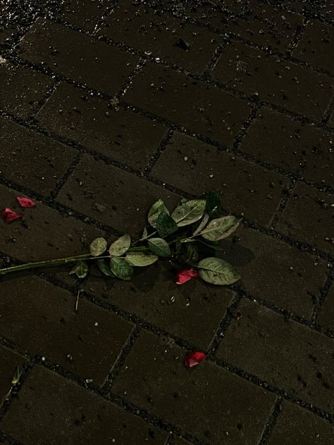 dark romantic aestetic dead roses broken heart Valentines Dark Aesthetic, Broke Aesthetics Dark, Broke Heart Aesthetics Dark, Broken Asethic Photo, Broken Love Aesthetique, Pictures Of Heart Break, Dark Heartbreak Aesthetique, Dead Roses Aesthetic, Broken Aesthetique