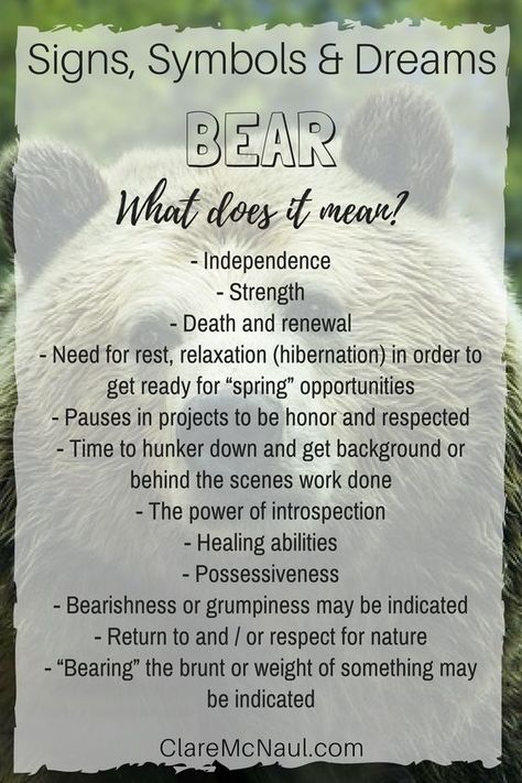 Bear Spiritual Meaning, Psychic Symbols, Bear Symbolism, Dream Magick, Dream Interpretation Symbols, Charm Reading, Dream Symbolism, Animal Totem Spirit Guides, Bear Spirit Animal