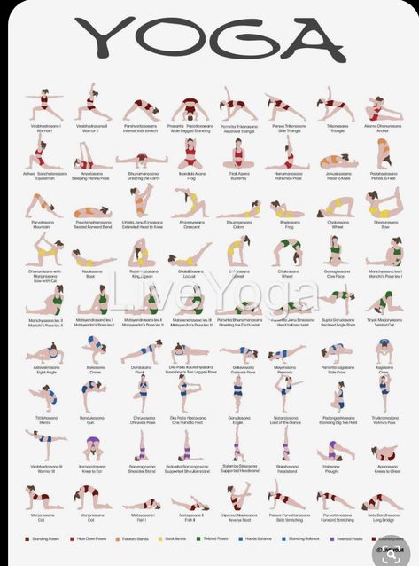 Motivasi Diet, Yoga Ashtanga, Ashtanga Vinyasa Yoga, Surya Namaskar, Yoga Beginners, Yoga Poster, Sup Yoga, Beginner Yoga, Yoga Iyengar