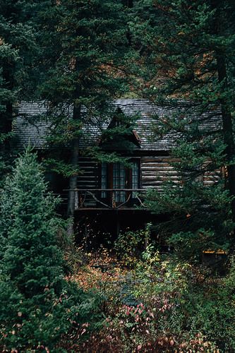 House In The Woods Aesthetic Dark, Cabin In Forest Aesthetic, House Pine Forest, Forest Cottage Aesthetic, Dark Naturalism Aesthetic, Cabin In The Woods Monsters, Cabin In The Woods Creepy, A Cabin In The Woods, Dark Naturalism