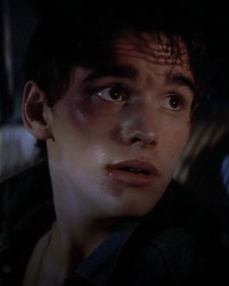 Matt Dillon The Outsiders, Young Matt Dillon, The Outsiders Cast, The Outsiders Greasers, 80s Actors, Dallas Winston, 80s Men, Matt Dillon, Hottest Guy Ever