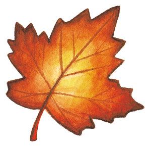 Autumnal Leaf Fall Leaves Drawing, Pola Topi, Fall Clip Art, Autumn Leaves Art, Fall Canvas Painting, Fall Canvas, Leaf Stencil, Leaf Drawing, Autumn Crafts