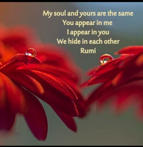 Quotes Rumi, Kahlil Gibran Quotes, Rumi Poem, Rumi Poetry, Sufi Mystic, Rumi Love Quotes, Rumi Love, Drops Of Water, Twin Flame Love