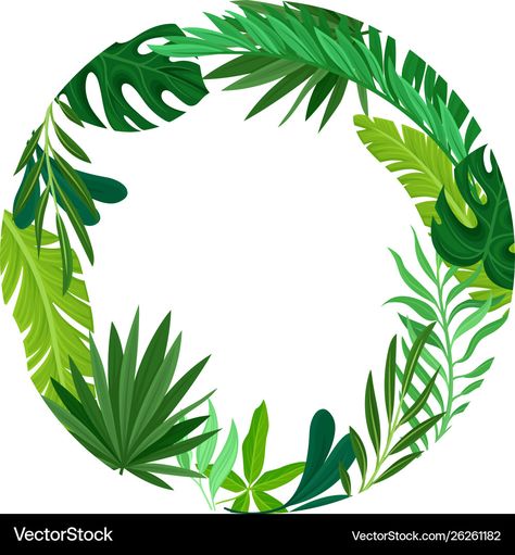 Framed Leaves, Leaves Vector, Round Frame, 7th Birthday, Tropical Leaves, Moana, Png Images, White Background, Vector Images