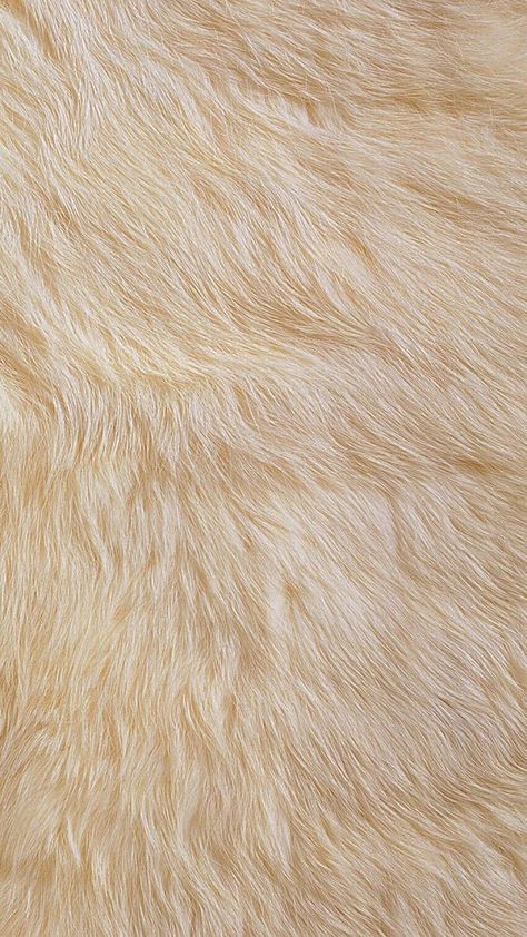 Ocultar Textura Patrón Material Antecedentes Material Wallpaper, Fur Background, Plain Wallpaper Iphone, Rabbit Png, Baby Photo Editing, Flower Graphic Design, Fur Texture, Fluffy Texture, Plain Wallpaper