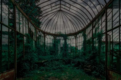 Royal Garden Aesthetic Dark, Greenhouse Dark Academia, Abandoned Greenhouse Aesthetic, Dark Naturalism, Green Abandoned Aesthetic, Abandoned Greenhouse Aesthetic Dark, Earth Tones, Dark Red, Green