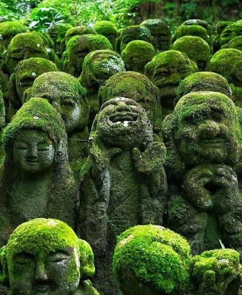 1,200 Stone Sculptures With Different Facial Expressions At The Nenbutsu-Ju Buddhist Temple In Kyoto, Japan Different Facial Expressions, Ancient Library, Japan Temple, Stone Sculptures, Shinto Shrine, Moss Covered, Image Cover, Mystery Of History, History Pictures