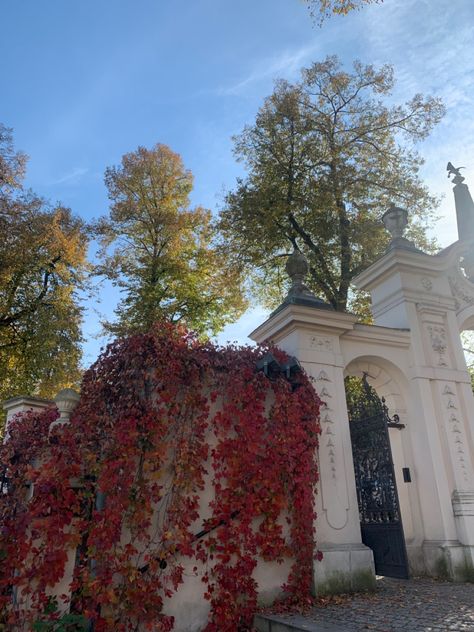 #autumn #travel #poland #krakow #aesthetic #leaves Krakow Aesthetic, Aesthetic Leaves, Poland Krakow, Travel Poland, Autumn Travel, Krakow, Poland, Travel