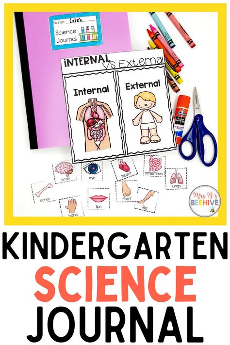 Use this interactive science journal to teach your kindergarten students important scientific concepts in a fun and engaging way. Practice fine motor skills while sorting and demonstrating knowledge of carnivores vs herbivores. Works great as a quick assessment tool for teachers and home school parents! Kindergarten Science Journal, Weather Graph, Oviparous Animals, Weather Words, Academic Language, Interactive Journals, Ell Students, Interactive Science, Interactive Science Notebook