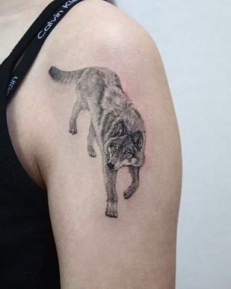 A wolf tattoo is a symbol of strength and power. Aesthetic Wolf Tattoo, Wheaten Terrier Tattoo, Wolf Body Tattoo, Little Wolf Tattoo, Fine Line Wolf Tattoo, Noel Tattoo, Unique Wolf Tattoo, Simple Heart Tattoo, Simple Wolf Tattoo