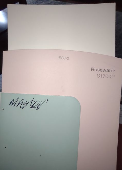 Rosewater By Behr, Rosewater Behr Paint, Behr Rosewater Paint, Behr Rosewater, Green Kitchen Cabinets, Kid Rooms, Behr Paint, Toddler Rooms, Paint Shades