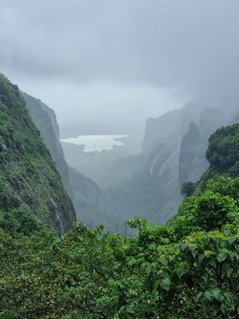 Aandharban forest is the best place to visit in monsoon season, peaceful nature and lots of greenery around the forest. Indian Nature, Indian Forest, Geography Facts, Natural Vegetation, Dry Forest, Travel India Beautiful Places, Background References, Best Place To Visit, Marvel Background