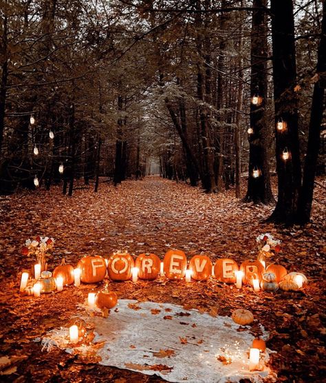 Crazy Proposal Ideas, Places To Get Proposed To, Gothic Proposal Ideas, Will You Be My Girlfriend Proposal Ideas Creative, Goth Proposal Ideas, Witchy Proposal Ideas, Spooky Proposal Ideas, Halloween Proposal Ideas Engagement, Cute Engagement Ideas