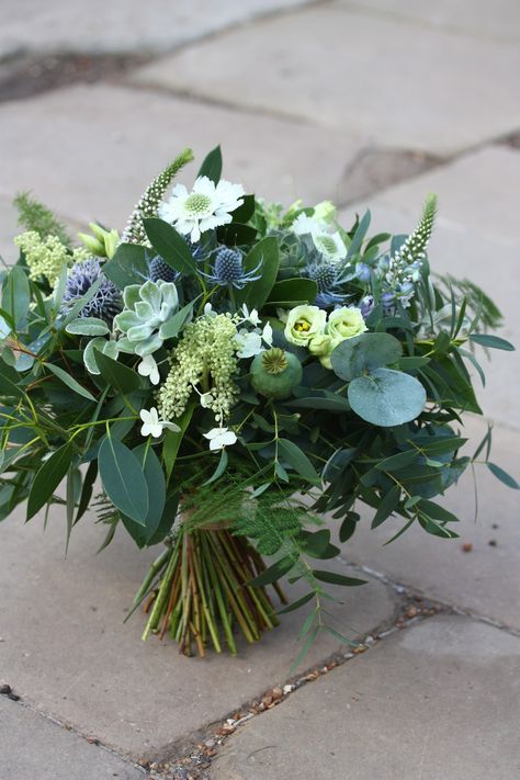 Full of foliage, Succulents, white Scabious and blue Thistle, this wedding bouquet was sumptuous! Bridal Bouquet Thistle, Green And Blue Centerpieces, August Florals, White Scabious, Blue Green Bouquet, Thistle Arrangement, Thistle Flower Arrangement, Thistle Bouquet Wedding, Thistle Boutonniere