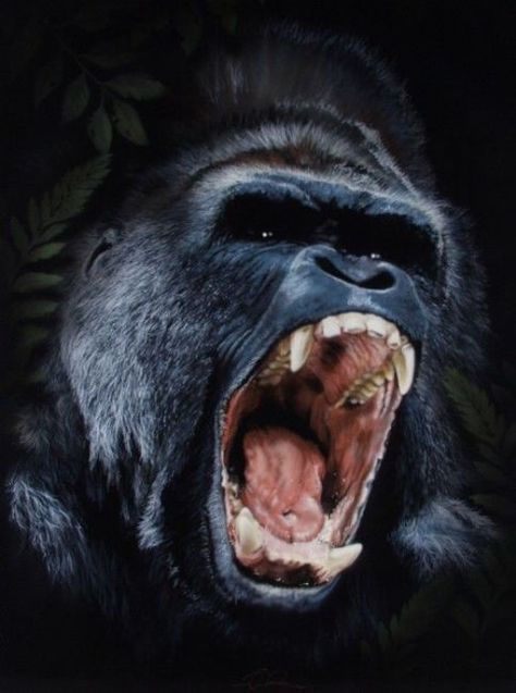 Angry Gorilla, Gorillas Art, Angry Animals, Gorilla Tattoo, Strongest Animal, Silverback Gorilla, Mandrill, Mountain Gorilla, Monkey Art