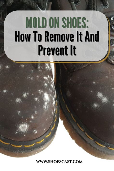 Mold On Clothes, Cleaning Leather Shoes, Diy Mold Remover, Cleaning Leather Couch, Essential Oil Spray Recipes, Remove Mold, Shoe Hacks, Cleaning Mold, Diy Cleaning Solution