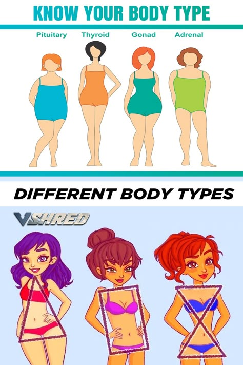 V Shred is the fastest growing fitness, nutrition and supplement brand in the world and much much more. Body Types Names, Know Your Body Type, V Shred, Body Fat Loss, Pituitary Gland, Low Carb Salad, High Fat Diet, Keto Diet Meal Plan, Getting Fit