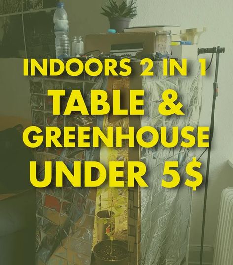 Diy Indoor Greenhouse Small Spaces, Mini Greenhouse Indoor, Diy Small Greenhouse, Greenhouse Inside, Greenhouse Projects, Diy Mini Greenhouse, Hanging Herb Gardens, Greenhouse Shelves, House Greenhouse