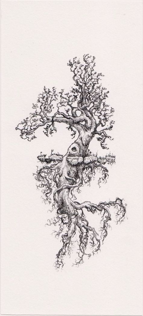 Roots And Wings Tattoo, Tree Tattoo Drawings, Tree Tattoo Side, Playing Card King, Tree Branch Tattoo, Roots Tattoo, Skeleton King, Tattoo Tree, King Tattoo