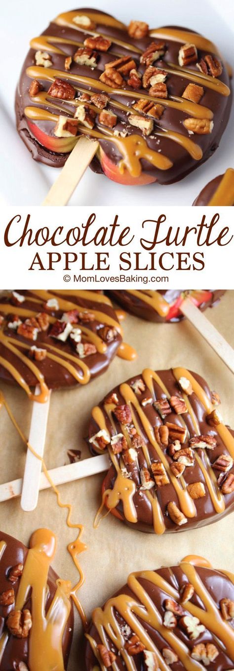 Chocolate Turtle Apple Slices are thick slices of Fuji apples covered in melted chocolate, drizzled with caramel and topped with nuts. Turtle Apple Slices, Chocolate Turtle, Healthy Appetizer, Chocolate Turtles, Recipes Yummy, Easy Appetizers, Thanksgiving Treats, Recipes Delicious, Appetizers Recipes