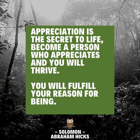 Solomon Abraham Hicks on Instagram: “APPRECIATION is the SECRET! 😃🌻🌟 #appreciation #secret #fulfillment #thrive #spirituality #abrahamhicks #appreciatewhatyouhave #being…” Abraham Hicks Quotes Happiness, Positive Aspects, Everyday Magic, Appreciate What You Have, Abraham Hicks Videos, Angel Oracle Cards, Quotes Happiness, Course In Miracles, Esther Hicks