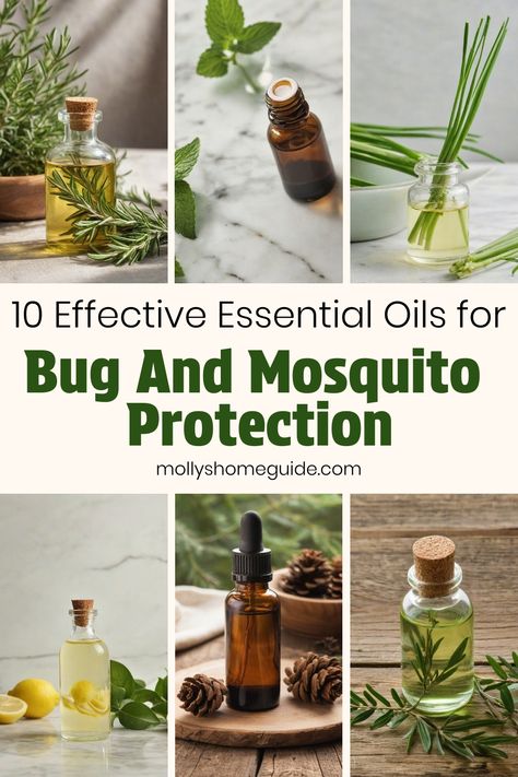 Discover the power of essential oils for bug and mosquito repellent with these DIY natural bug spray recipes. Say goodbye to harsh chemicals and opt for non-toxic mosquito repellents made from the best homemade mosquito repellent blends. Explore top essential oils that repel bugs effectively and learn how to create your own homemade essential oil bug spray using simple ingredients. Protect yourself from bites with these essential oil mosquito repellent solutions, perfect for repelling bugs indoo Essential Oil Mosquito Repellent, Natural Bug Spray Recipe, Homemade Mosquito Repellent, Mosquito Repellent Essential Oils, Essential Oil Bug Spray, Mosquito Repellent Homemade, Bug Spray Recipe, Natural Bug Spray, Top Essential Oils