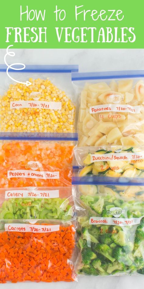 Let's start with the basics 6 steps of how to Freeze Fresh Vegetables. Potatoes, corns, carrots, celery, broccoli & more. via @familyfresh Freezing Food Guide, Freezing Vegetables, Freezing Fruit, Freezing Food, Freezable Meals, Freezer Meal Planning, Canning Food Preservation, Fresh Meals, Carrots Celery