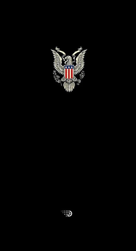 Cia Wallpaper, America Core, Patriotic Wallpaper, Iphone Wallpaper Hd Original, Usa Wallpaper, Supreme Iphone Wallpaper, Space Art Gallery, Latest Technology Gadgets, Gym Wallpaper