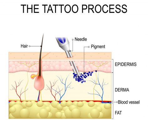 Tattoo Knowledge, Learning Tattoo, Tattoo Learning, Fine Tattoos, Tattoo Artist Tips, Tattoo Training, Learn To Tattoo, Work Graphic, Becoming A Tattoo Artist