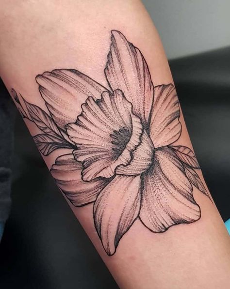 Daffodil Tattoos: Meanings, Tattoo Designs & Ideas Black Daffodil, Daffodil Flower Tattoos, Vintage Daffodil, Daffodil Tattoo, Tattoo Shoulder, Birth Flower Tattoos, Floral Tattoo Design, Daffodil Flower, Shoulder Tattoos For Women