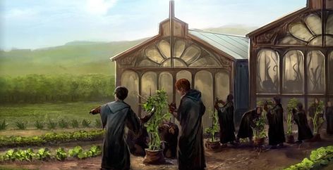 Herbology Classroom, Herbology Harry Potter, Hogwarts Herbology, Harry Potter Wiki, Plant Study, Neville Longbottom, Small Greenhouse, Goblet Of Fire, Hogwarts Mystery