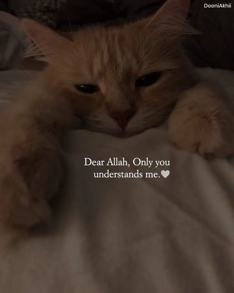 Dear Allah, Understand Me, Islamic Reminders, Islamic Teachings, Relatable Quotes, Islamic Quotes, Memes, Quotes, Quick Saves