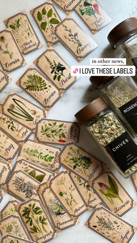 Labeling Ideas Organization, Apothecary Spice Jars, Spice Jars With Labels, Aesthetic Spice Jars, Apothecary Business Ideas, Apothecary Label Design, Herb Shop Ideas, Witch Herb Storage, Apothecary Kitchen Decor