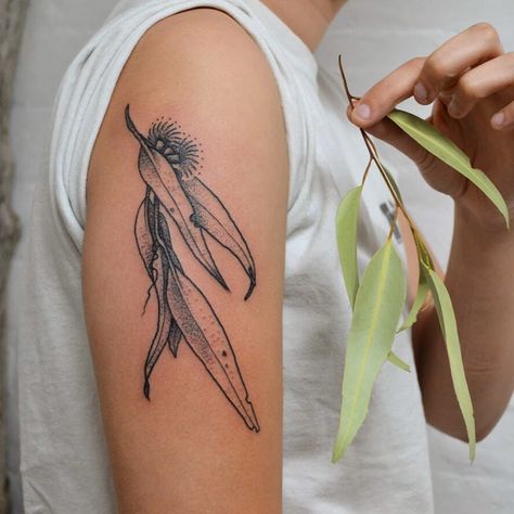 Eucalyptus sprig tattooed from life for Tash - thanks for the trust! #eucalyptus #eucalyptustattoo #gumleaf #gumleaftattoo #dotwork… Eucalyptus Tattoo, Tattoo Ideas Arm, Tree Tattoo Ideas, Australia Tattoo, Australian Tattoo, Cherub Tattoo, Arm Tats, Native Tattoos, Branch Tattoo