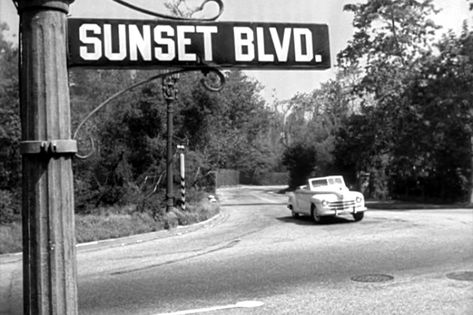 Erich Von Stroheim, Billy Wilder, Sunset Blvd, Sunset Boulevard, Silent Film Stars, Sunset Strip, Vintage Los Angeles, California Cool, California Love