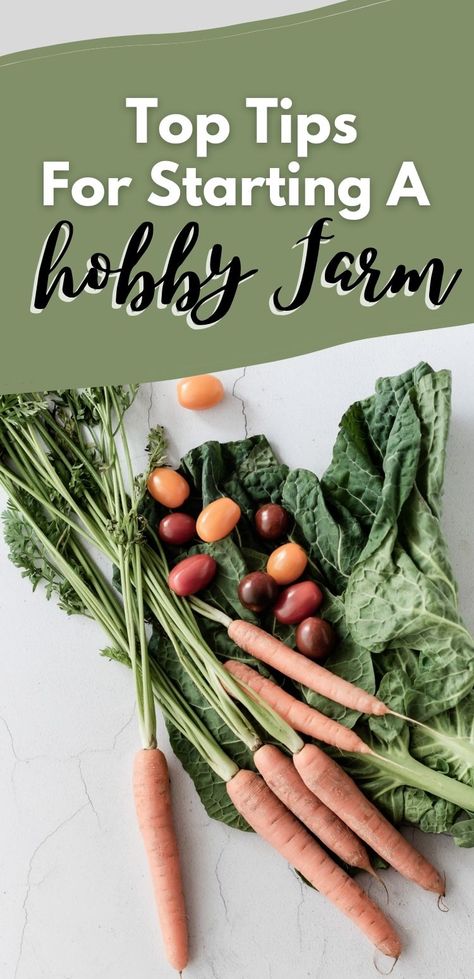 Profitable Hobby Farm, How To Start A Hobby Farm, Owning A Farm, How To Start A Farm, Starting A Small Farm, What Do We Get From Farm Animals, How To Start A Small Farm, Vegan Homestead, Small Hobby Farm