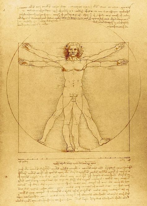 Leonardo Divinchi Man, The Vitruvian Man, Da Vinci Vitruvian Man, Vintage Journaling, Vintage Anatomy, Journaling Printables, Medieval Era, Vitruvian Man, Background Frame