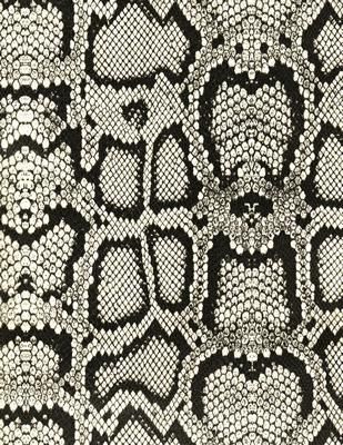 black and white faux snakeskin (vinyl) Animal Texture Pattern, Snake Print Fashion, Animal Pattern Design, Snake Fabric, Texture Black And White, Animal Skin Pattern, Animal Texture, White Python, Snake Texture