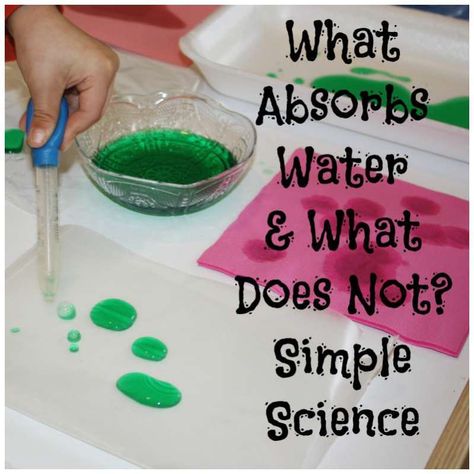 Learning what absorbs water and what does not with simple materials from around the house! We had a blast exploring and hypothesizing what would and would not hold water! View this kids activity at little bins for little hands! Water Experiments For Kids, Water Science Experiments, Science Week, Preschool Science Activities, Science Experiments For Preschoolers, Simple Science, Science Crafts, Easy Science Experiments, Kindergarten Science