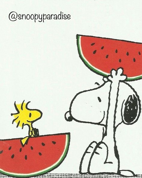 I Love Snoopy on Instagram: “Happy National Watermelon Day #watermelon #nationalwatermelonday #🍉 #snoopy #snoopymania #snoopycollection #snoopylover #snoopyparadise…” Snoopy Watermelon, Peanut Pictures, Cartoon Watermelon, Watermelon Cartoon, Snoopy Drawing, Snoopy Tattoo, Snoopy Birthday, Snoopy Dog, Peanuts Comic Strip