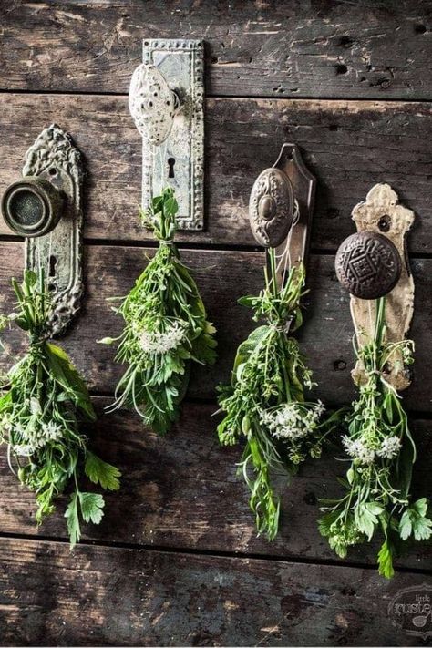 Soup Gifts, Herb Wreath, Old Door Knobs, Farmhouse Diy Projects, Rusty Garden, Vintage Gardening, Garden Wallpaper, Vintage Garden Decor, Gift Tea