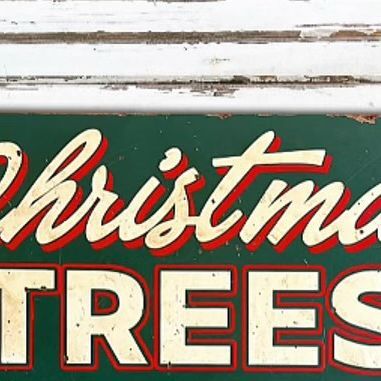 Tim Holtz on Instagram: "🌲Holtz Tree Lot Holiday Sign🌲 Celebrate the season with this festive collaboration! I’ve teamed up with the amazing @crackerjackjunkco to bring you a vintage inspired sign capturing the holiday traditions of Christmastime. Don’t miss the chance to deck your halls with magic + merriment distressed to perfection to give a true nostalgic feel!   ⏰CHRISTMAS SIGN SALE STARTS TODAY AT 3:00PM PT ON CRACKERJACKJUNKCO.COM   #ogs #cutyourowntree #timholtz #christmastreefarm #christmas #holidaydecor #christmasdecor #cozychristmas #cottagestyle #farmhousedecor #farmhousechristmas #countryliving #christmastreefarm #cottagesandbungalows #mycountryhome #crackerjackjunkco" Christmas Signage, Vintage Inspired Signs, Happy Holidays Sign, Hd Posters, Cottages And Bungalows, Holiday Wrapping, Holiday Signs, Christmas Tree Farm, Christmas Sign