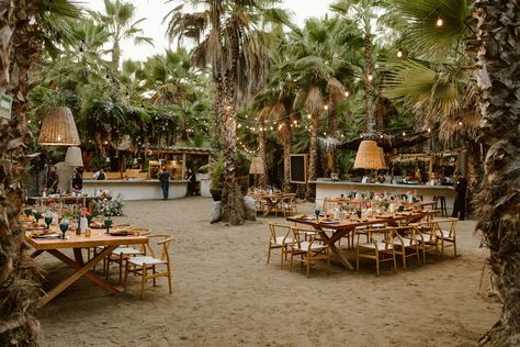 Baja California Wedding, Todos Santos Wedding, Baja Wedding, Tropical Paradise Beach, Tropical Centerpieces, Wedding Mexico, Tulum Wedding, 2025 Wedding, Destination Wedding Mexico